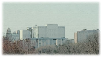 skyline view of Mayo Clinic
